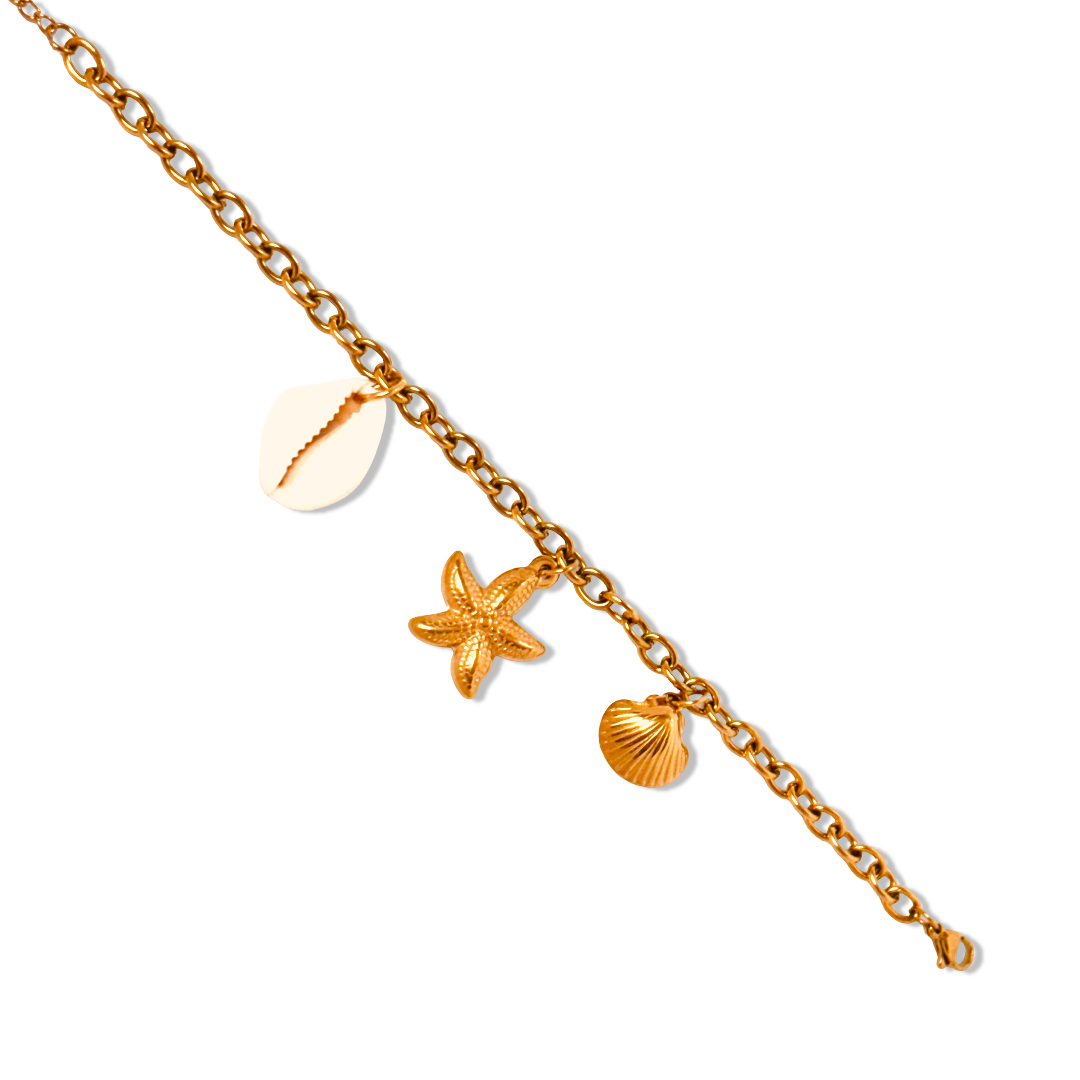 Flat-lay of starfish and cowrie shell charm bracelet showing length and chain link detail with clasp - dainty chic minimalist elegant gold plated bracelet - hypoallergenic anti‑tarnish waterproof nickel‑free lead‑free gold plated bracelet
